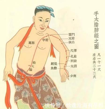 李中梓|肺,真正的先天之本所有养生都始于肺,3招疏通肺经,百病难侵