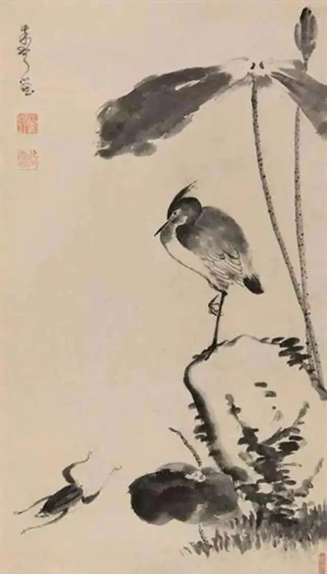 荷花鸳鸯图|同是画两只鸳鸯,与齐白石相比,八大山人的作品也是不输的