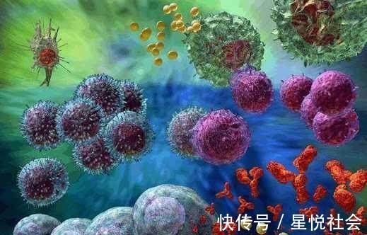 高蛋白食物|癌症患者需要忌口吗肿瘤医生4类食物最好远离,影响治疗