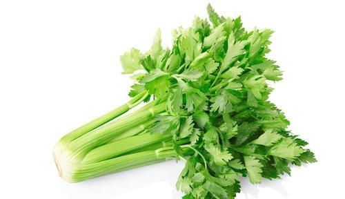 高血压|高血压患者食用三七粉真的能降压吗?安全降压,2点需要早点明白