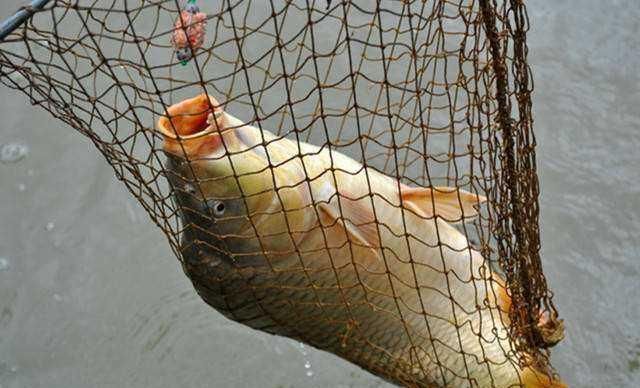 垂钓|再三提醒这3个钓点老钓友从来不去,逢钓必空军,莫忽视哦