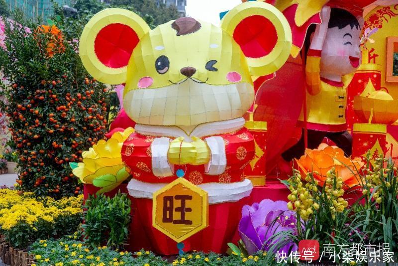 正月迊春花二月什么花 正月迊春花二月什么花