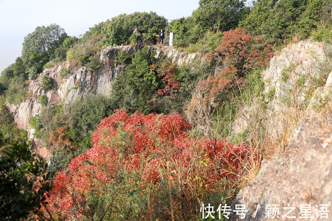 关闭|洋沙山景区关闭逾六年，荒草萋然，何时去回忆一下青春