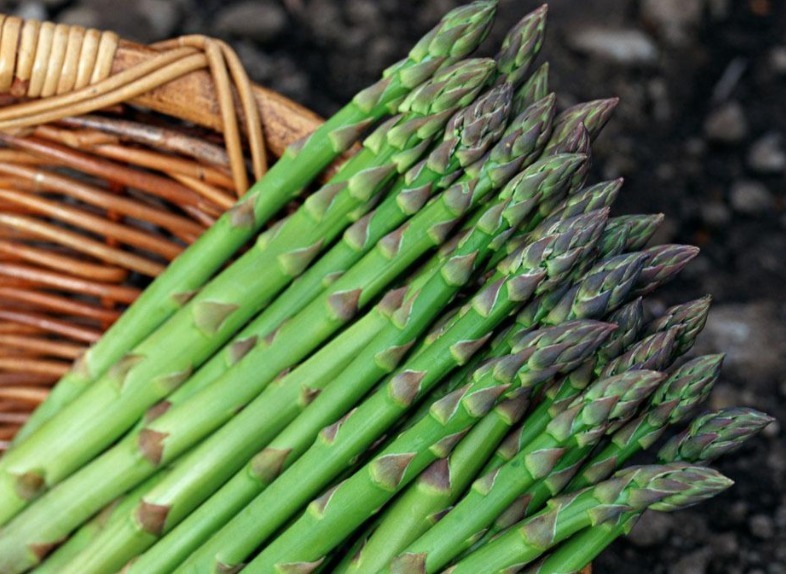 沙棘|胆固醇最怕2菜,不是洋葱和木耳,你若爱吃,血管干净畅通