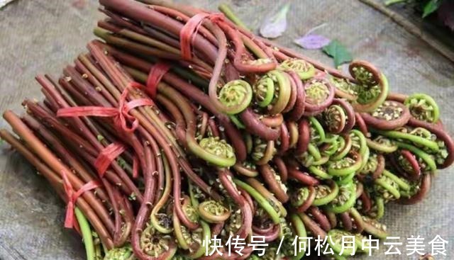 江南人|60种常见野菜，高清大图，收集全了真不容易！