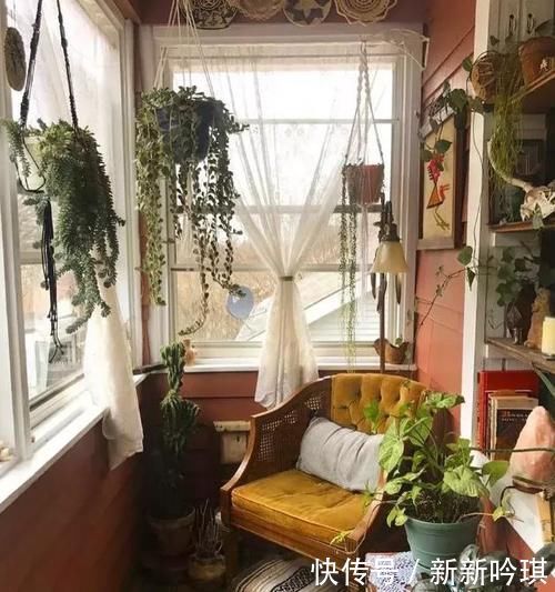 密闭的阳台里养花,为什么冬天更易患上病虫害?该怎么防范?