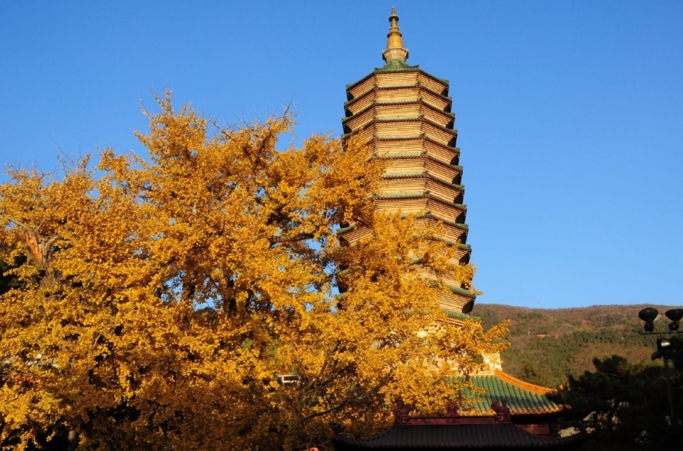 舍利|北京有座“隐藏在”大山之中的公园，内有8座寺庙，还有2颗舍利