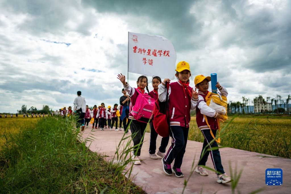 研学活动|研学活动走进宝丰半岛湿地