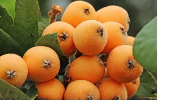 咽炎|咽喉炎的“死对头”找到了, 每天吃一点, 嗓子不痒、咽喉不疼