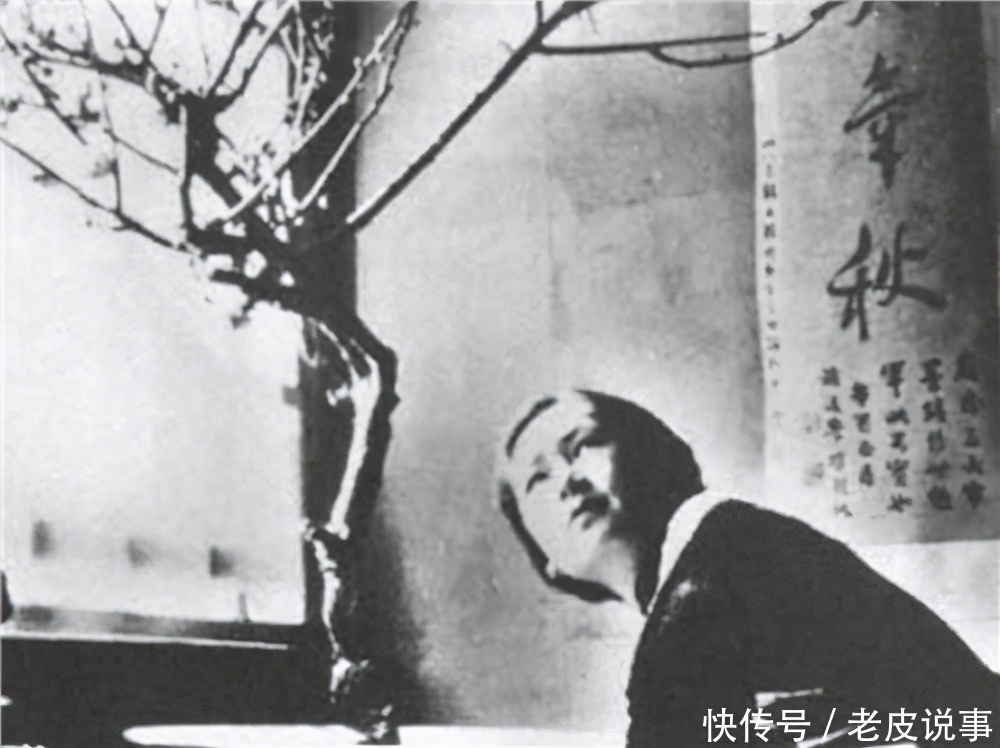 才女鄙视链冰心讽林徽因绿茶,张爱玲瞧冰心作,杨绛嫌张爱玲丑