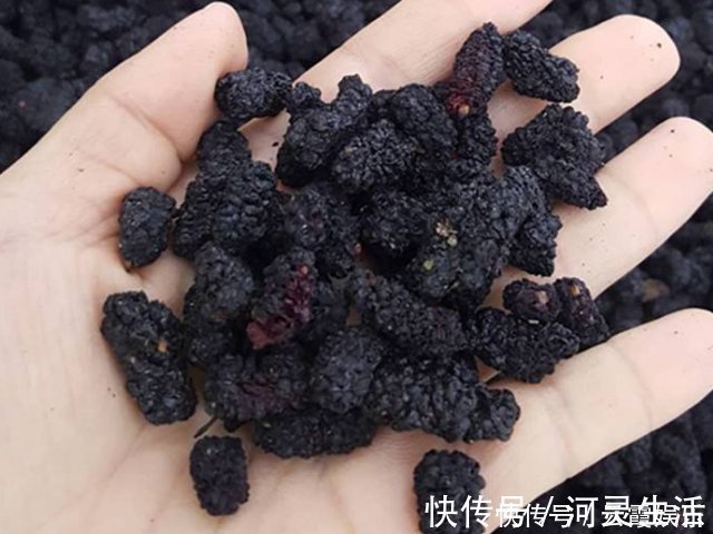 桑葚干|这4物被称为“肾黄金”，男女都尽量多吃点，或助肾脏更健康