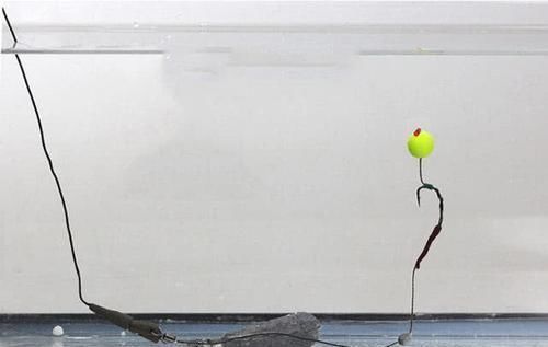 在欧洲钓鲤鱼是一项非常高大上的运动,一套装备要几干欧