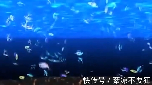 化合物|地下石油到底是怎么来的?动画演示全程,多年疑惑解开了