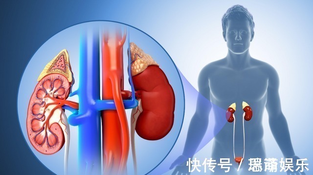 血脂|血脂高的人,多观察手指,若没这几个异常,说明脑梗离你还很远