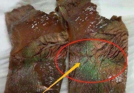 外面买来的卤牛肉,泛着“绿光”起初以为不能吃,营养师说出实情