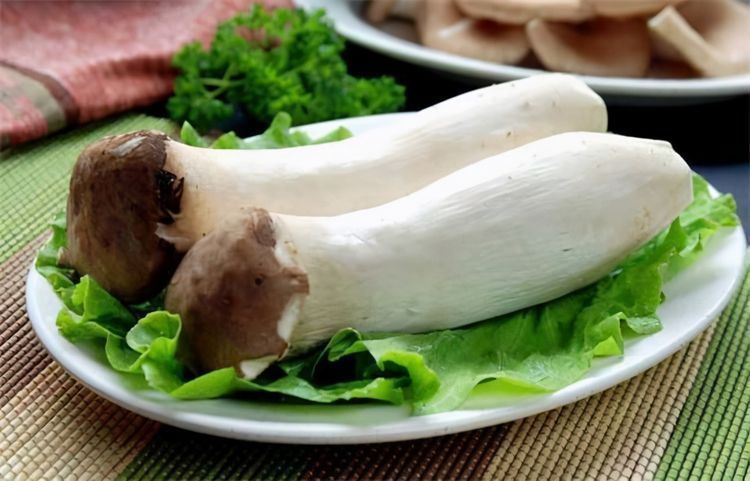 食物|好食物吃出好身体,3种食物离不开,排毒养颜,增强体质!