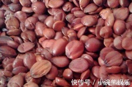 别录|睡前坚持食几粒小果子，坚持15天，失眠治好了，生理期也不烦躁