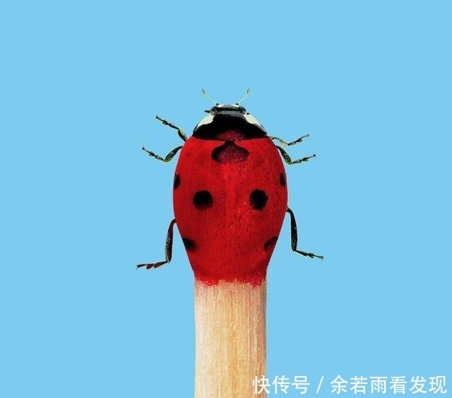 人人都会PS,你和大神的差距只不过是脑洞而已