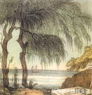 萃枫苷|痴呆测试图:别花时间想,你能几秒找出?用时1分钟的都有点危险