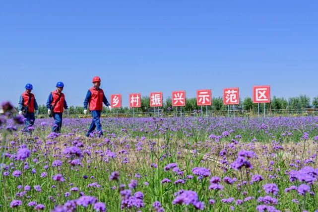 李晓光|只要水岸三合用电有问题，白银电力110随叫随到！