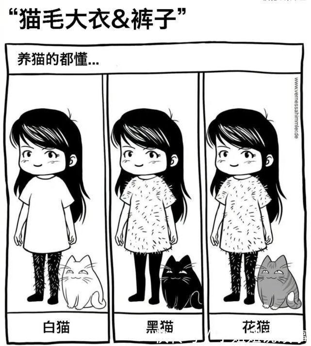 中国人|“现在的卖家能有多实在？？”哈哈哈哈中国人不骗中国人