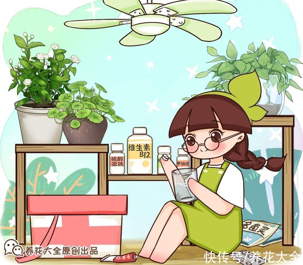 药片养花只知道阿司匹林？这些药养花效果也很好，过期别再扔了