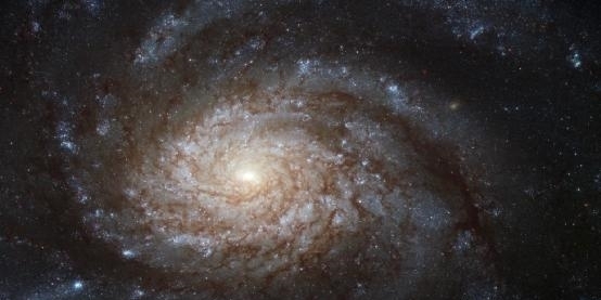 星系和太阳系有何相似之处?