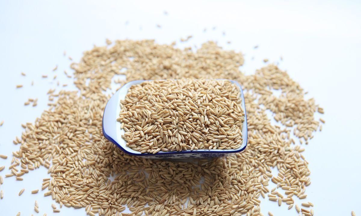 面条|患有高血脂,2种主食劝你少吃,滋养血管,稳定血脂水平