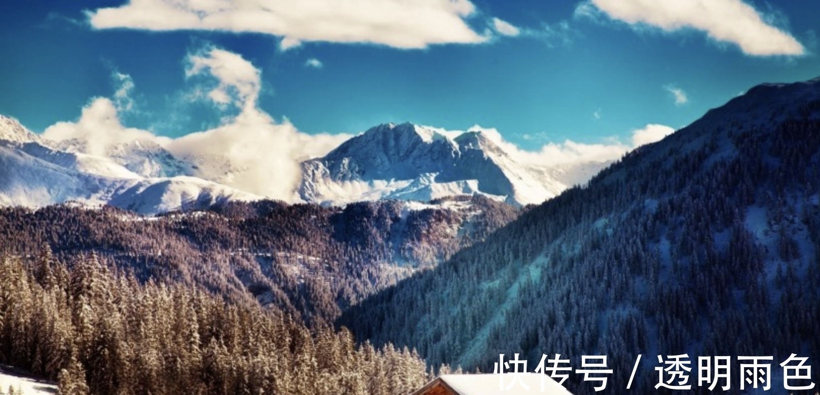 摩羯座|客观理智,城府很深的星座,深藏不露,关键时刻才出手,神秘莫测