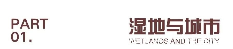 环境科学#好书·推荐 | 上海有哪些湿地?快跟着绘本涨知识