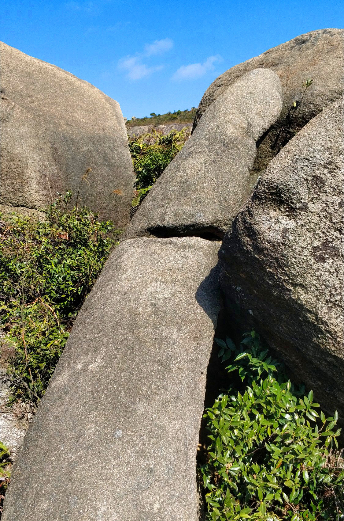 秀美|夜宿马尾君竹山,秀美徒步好去处