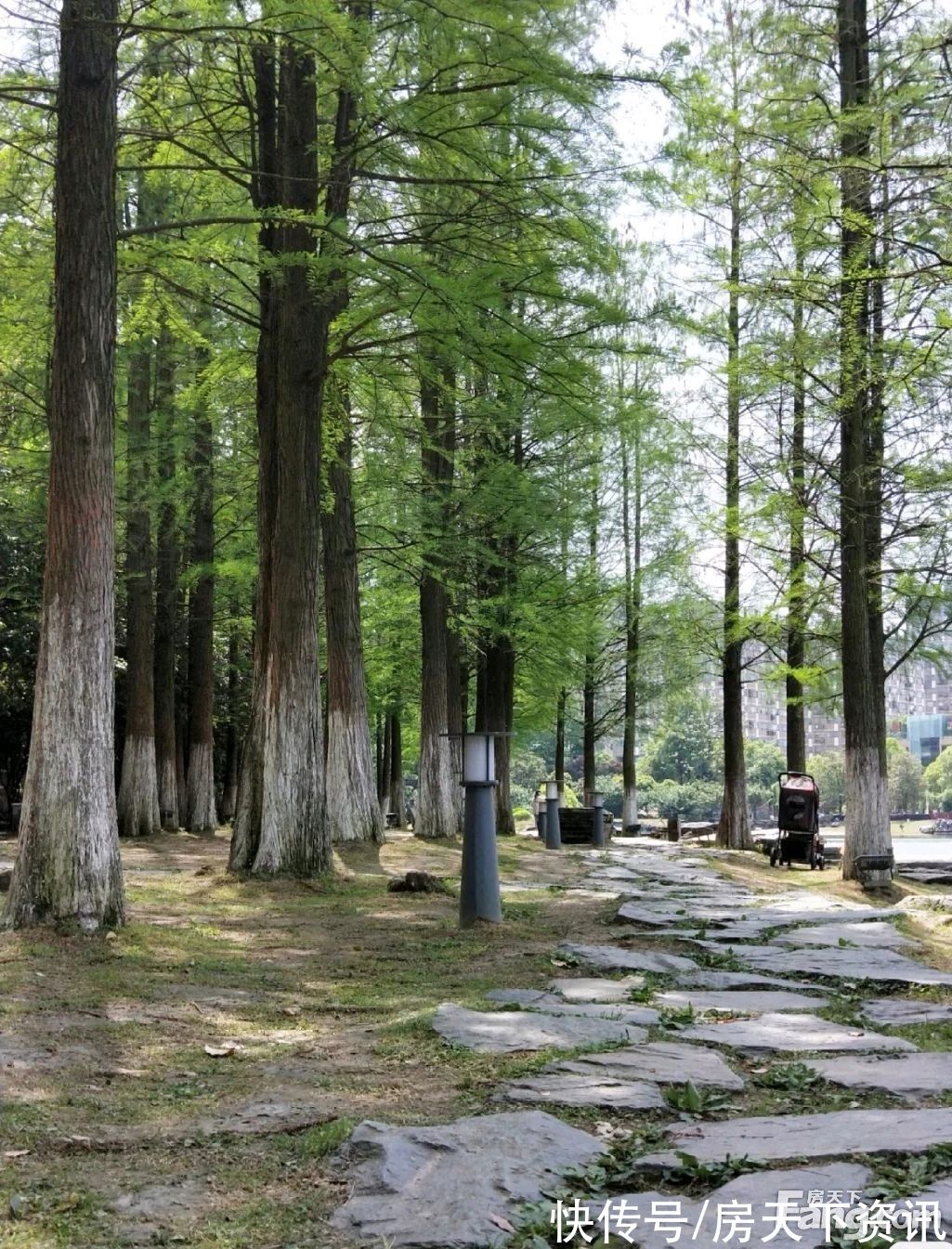 长沙|新鲜出炉!帮你搜集长沙岳麓楼盘现场的最新美图