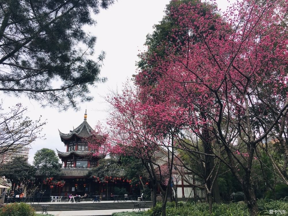 沙滩|游公园，骑单车逛成都，打卡最炫双子塔灯光秀