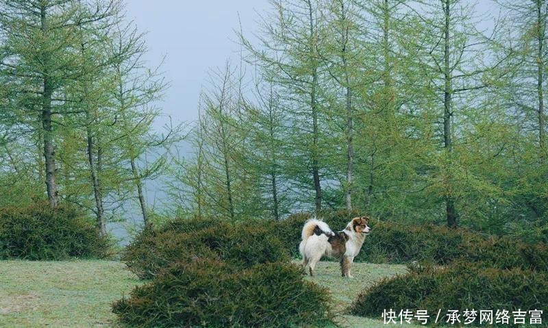 【创建天府旅游名县】来朝天旅游，风景美如卷