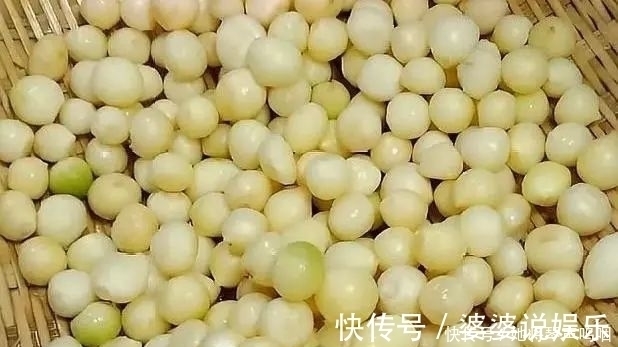 滋补|冬季进补,鸡牛羊都没它好,炖一锅滋补又美味,孩子常吃免疫力强