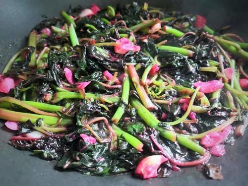 长寿菜|这菜可真是“一宝”，夏天吃最好，清热解暑，利尿除湿，不吃可惜