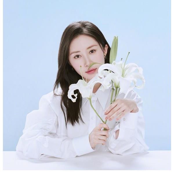 藏海花|男星迷信偏门做法？吴磊王一博抢饼？肖战任敏重蹈余生覆辙？