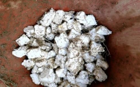 这些垃圾废料拿来养花,你以为是“青铜”,结果全是“王者”