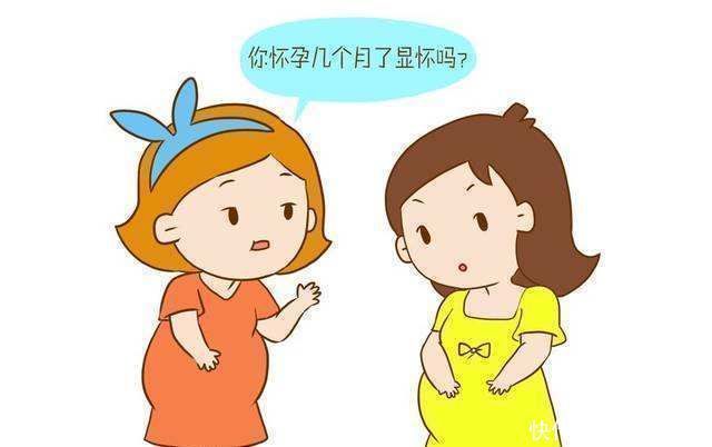 肚子|孕后最佳显怀时间是什么时候太早未必是好事,可能是4个原因