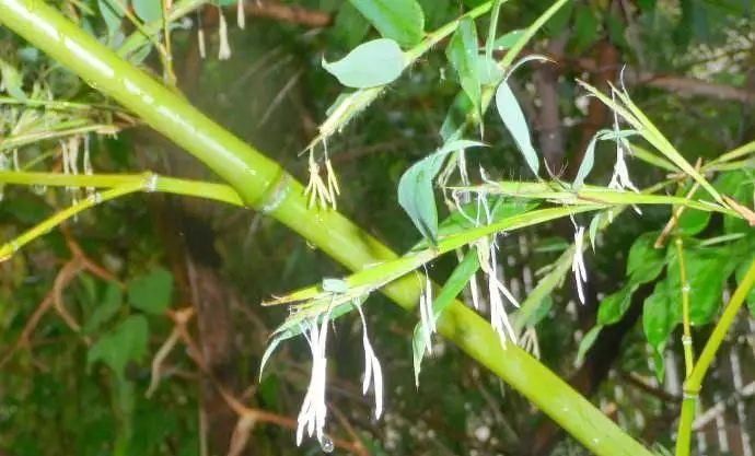 传来|太美了,世界照片今天终于传来,罕见至极,一睹为快