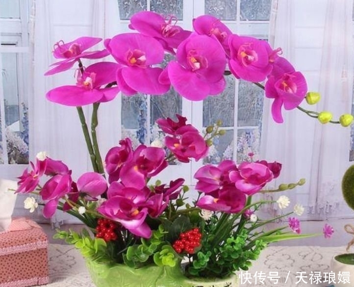 3种花是真正的“开花机器”,名字一般,开出的花却“极美”!