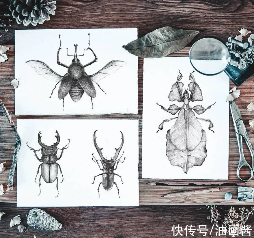 素描@艺术家公开自己的速写本,风格化的动物素描,?个个惹人爱