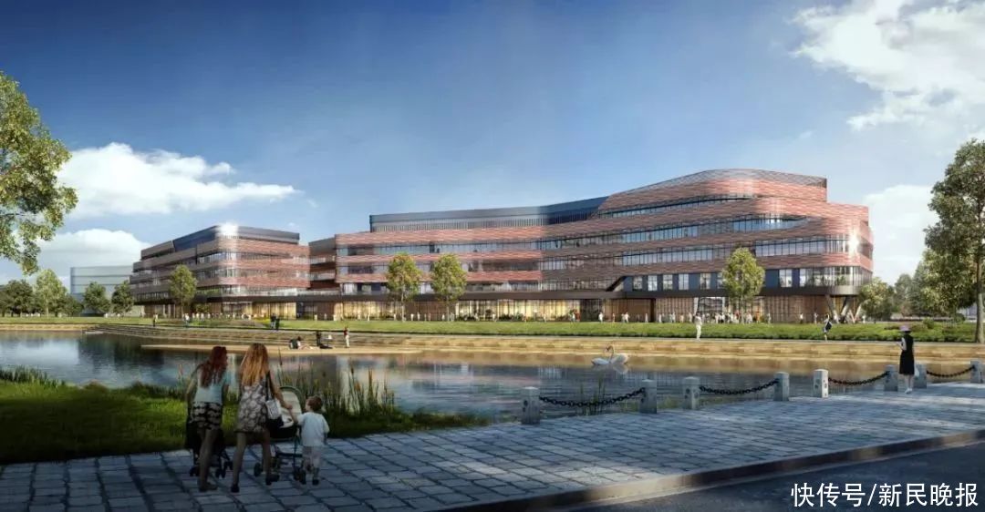 健康|又一所上海三甲医院布局长三角,细数示范区这波“健康红利”