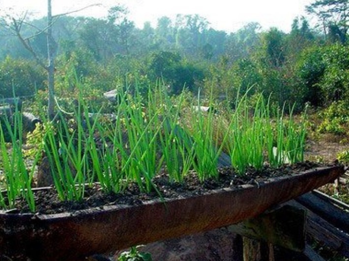 没杀|越战最委屈的国家,没杀过一个美军,却遭2.6亿枚炸弹疯狂报复