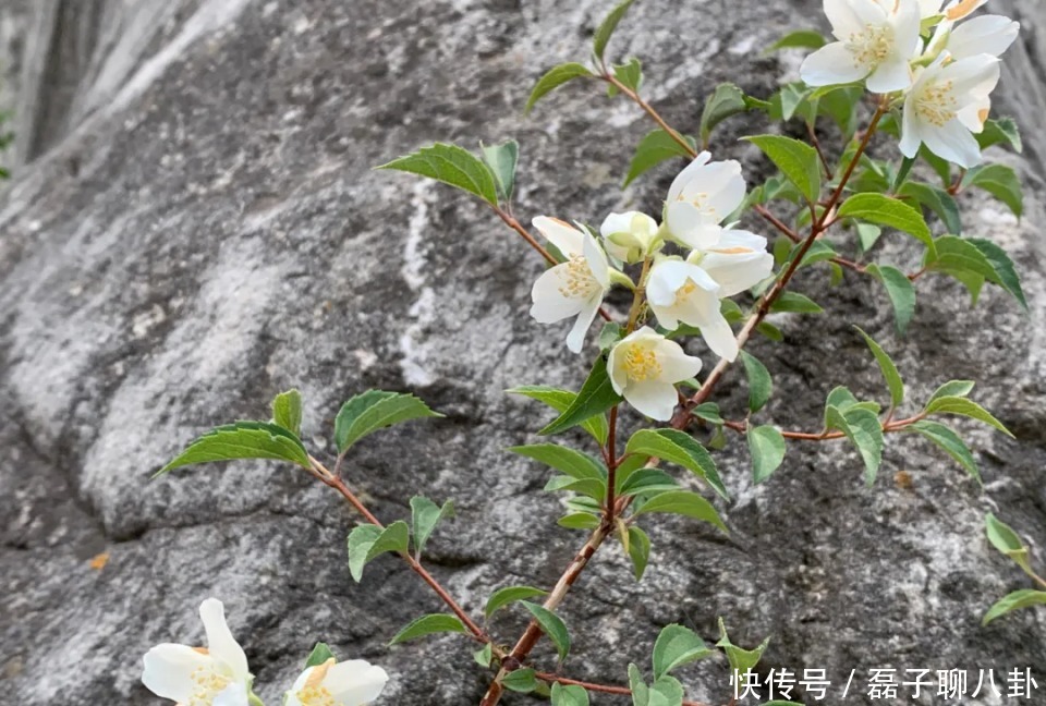 绿阴幽草|太行大峡谷如画的美景就等你来撩，峡谷漂流一票两人