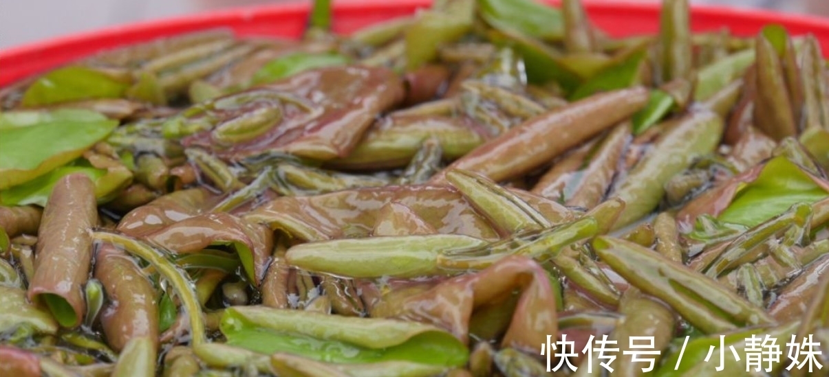 胶原蛋白|这菜胶原蛋白丰富，比燕窝养人，用来凉拌，瘦身刮油快