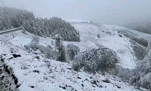 春夏秋冬|蔚县茶山的第一场秋雪