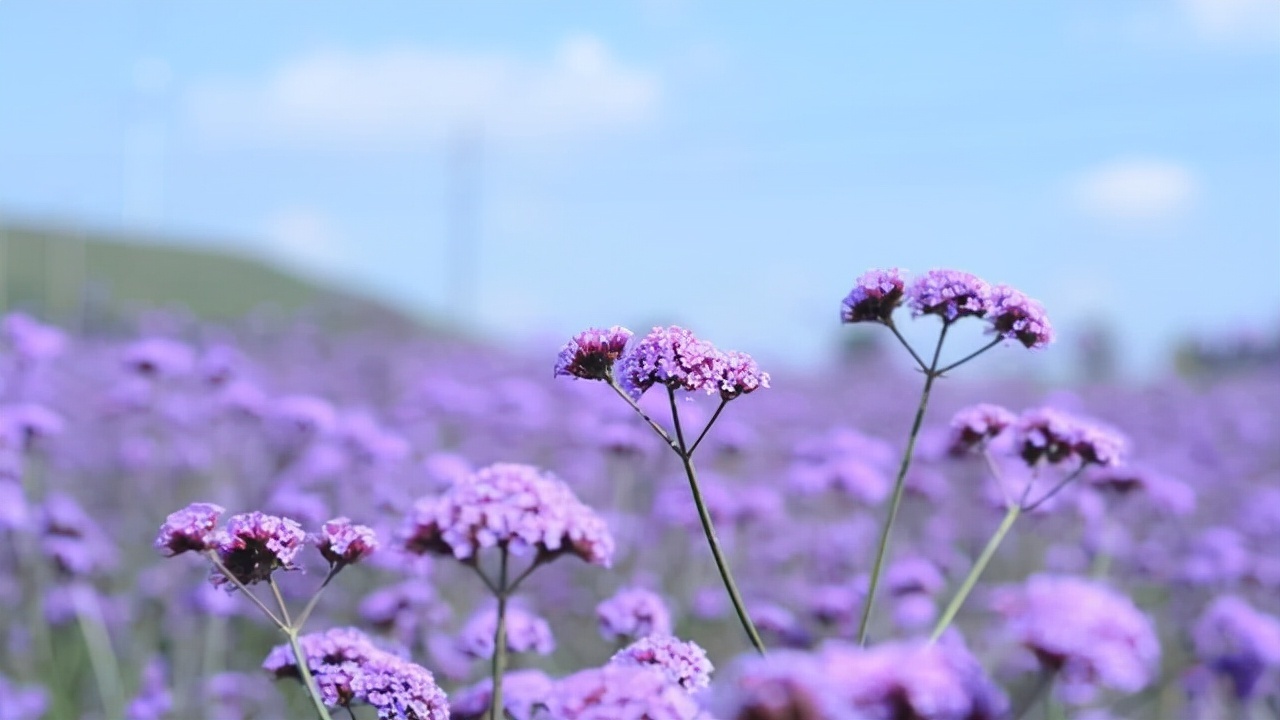 闭口禅!能在这几种特殊情况下保持沉默的人,往往层次很高,很不简单