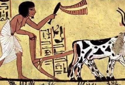 自我|“农耕”与“游牧”的碰撞!波斯是“被同化”还是“自我超越”?