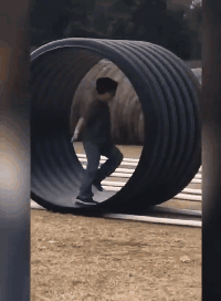 |搞笑GIF: 真相往往在后面 亲眼看到得不一定是真的